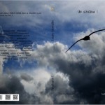 Image albatros