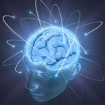 cerveau 4
